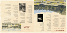 Load image into Gallery viewer, New Blue Sky Night Thunder Vinyl